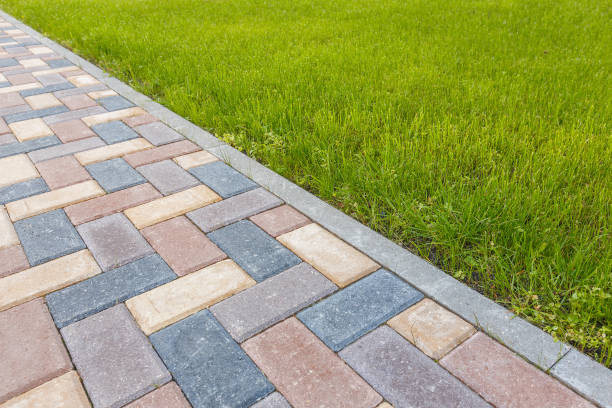 Best Driveway Paving Contractor  in Pharr, TX
